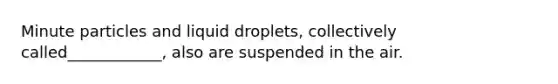 Minute particles and liquid droplets, collectively called____________, also are suspended in the air.