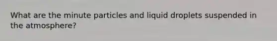 What are the minute particles and liquid droplets suspended in the atmosphere?