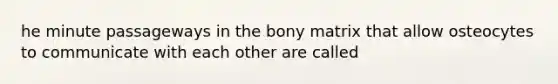 he minute passageways in the bony matrix that allow osteocytes to communicate with each other are called