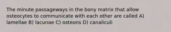 The minute passageways in the bony matrix that allow osteocytes to communicate with each other are called A) lamellae B) lacunae C) osteons D) canaliculi