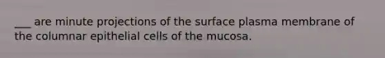 ___ are minute projections of the surface plasma membrane of the columnar epithelial cells of the mucosa.