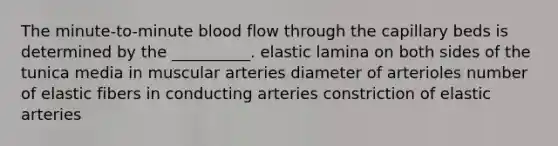 The minute-to-minute blood flow through the capillary beds is determined by the __________. elastic lamina on both sides of the tunica media in muscular arteries diameter of arterioles number of elastic fibers in conducting arteries constriction of elastic arteries