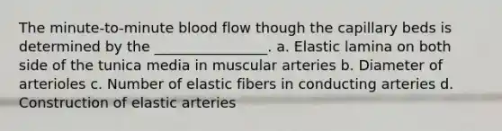 The minute-to-minute blood flow though the capillary beds is determined by the ________________. a. Elastic lamina on both side of the tunica media in muscular arteries b. Diameter of arterioles c. Number of elastic fibers in conducting arteries d. Construction of elastic arteries