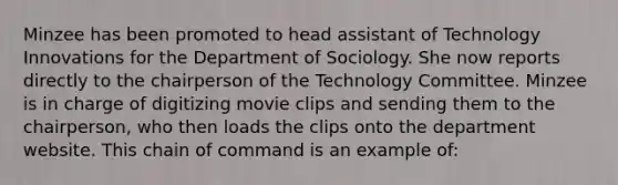 Minzee has been promoted to head assistant of Technology Innovations for the Department of Sociology. She now reports directly to the chairperson of the Technology Committee. Minzee is in charge of digitizing movie clips and sending them to the chairperson, who then loads the clips onto the department website. This chain of command is an example of: