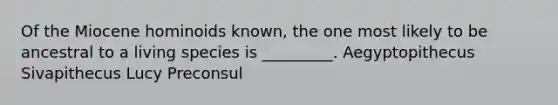 Of the Miocene hominoids known, the one most likely to be ancestral to a living species is _________. Aegyptopithecus Sivapithecus Lucy Preconsul