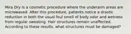 Mira Dry is a cosmetic procedure where the underarm areas are microwaved. After this procedure, patients notice a drastic reduction in both the usual foul smell of body odor and wetness from regular sweating. Hair structures remain unaffected. According to these results, what structures must be damaged?