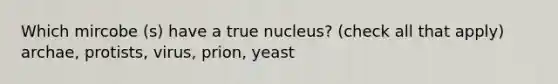 Which mircobe (s) have a true nucleus? (check all that apply) archae, protists, virus, prion, yeast