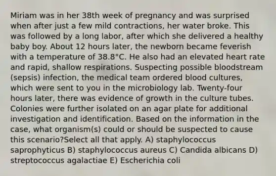 Miriam was in her 38th week of pregnancy and was surprised when after just a few mild contractions, her water broke. This was followed by a long labor, after which she delivered a healthy baby boy. About 12 hours later, the newborn became feverish with a temperature of 38.8°C. He also had an elevated heart rate and rapid, shallow respirations. Suspecting possible bloodstream (sepsis) infection, the medical team ordered blood cultures, which were sent to you in the microbiology lab. Twenty-four hours later, there was evidence of growth in the culture tubes. Colonies were further isolated on an agar plate for additional investigation and identification. Based on the information in the case, what organism(s) could or should be suspected to cause this scenario?Select all that apply. A) staphylococcus saprophyticus B) staphylococcus aureus C) Candida albicans D) streptococcus agalactiae E) Escherichia coli