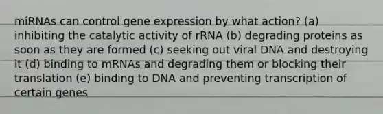 miRNAs can control <a href='https://www.questionai.com/knowledge/kFtiqWOIJT-gene-expression' class='anchor-knowledge'>gene expression</a> by what action? (a) inhibiting the catalytic activity of rRNA (b) degrading proteins as soon as they are formed (c) seeking out viral DNA and destroying it (d) binding to mRNAs and degrading them or blocking their translation (e) binding to DNA and preventing transcription of certain genes