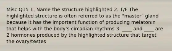 Misc Q15 1. Name the structure highlighted 2. T/F The highlighted structure is often referred to as the "master" gland because it has the important function of producing melatonin that helps with the body's circadian rhythms 3. ____ and ____ are 2 hormones produced by the highlighted structure that target the ovary/testes