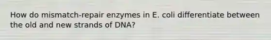 How do mismatch-repair enzymes in E. coli differentiate between the old and new strands of DNA?