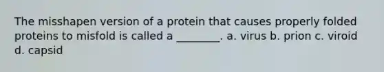 The misshapen version of a protein that causes properly folded proteins to misfold is called a ________. a. virus b. prion c. viroid d. capsid