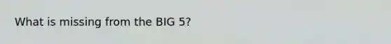 What is missing from the BIG 5?