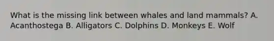 What is the missing link between whales and land mammals? A. Acanthostega B. Alligators C. Dolphins D. Monkeys E. Wolf