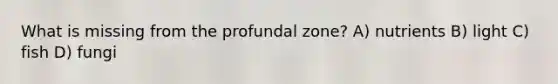 What is missing from the profundal zone? A) nutrients B) light C) fish D) fungi