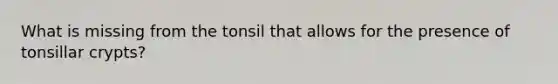 What is missing from the tonsil that allows for the presence of tonsillar crypts?