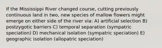 If the Mississippi River changed course, cutting previously continuous land in two, new species of mallow flowers might emerge on either side of the river via: A) artificial selection B) postzygotic barriers C) temporal separation (sympatric speciation) D) mechanical isolation (sympatric speciation) E) geographic isolation (allopatric speciation)