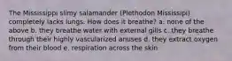 The Mississippi slimy salamander (Plethodon Mississipi) completely lacks lungs. How does it breathe? a. none of the above b. they breathe water with external gills c. they breathe through their highly vascularized anuses d. they extract oxygen from their blood e. respiration across the skin