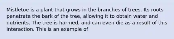 Mistletoe is a plant that grows in the branches of trees. Its roots penetrate the bark of the tree, allowing it to obtain water and nutrients. The tree is harmed, and can even die as a result of this interaction. This is an example of