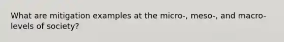 What are mitigation examples at the micro-, meso-, and macro- levels of society?