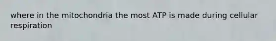 where in the mitochondria the most ATP is made during cellular respiration