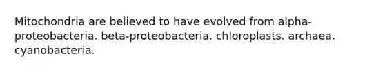 Mitochondria are believed to have evolved from alpha-proteobacteria. beta-proteobacteria. chloroplasts. archaea. cyanobacteria.