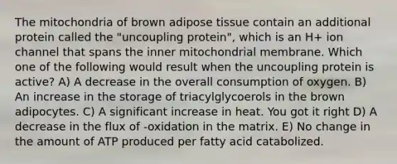 The mitochondria of brown adipose tissue contain an additional protein called the "uncoupling protein", which is an H+ ion channel that spans the inner mitochondrial membrane. Which one of the following would result when the uncoupling protein is active? A) A decrease in the overall consumption of oxygen. B) An increase in the storage of triacylglycoerols in the brown adipocytes. C) A significant increase in heat. You got it right D) A decrease in the flux of -oxidation in the matrix. E) No change in the amount of ATP produced per fatty acid catabolized.