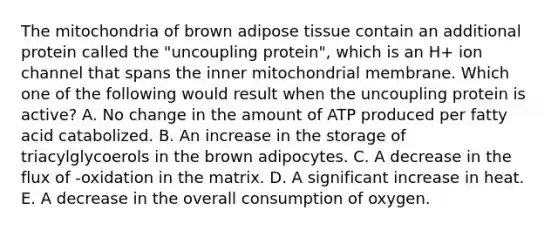 The mitochondria of brown adipose tissue contain an additional protein called the "uncoupling protein", which is an H+ ion channel that spans the inner mitochondrial membrane. Which one of the following would result when the uncoupling protein is active? A. No change in the amount of ATP produced per fatty acid catabolized. B. An increase in the storage of triacylglycoerols in the brown adipocytes. C. A decrease in the flux of -oxidation in the matrix. D. A significant increase in heat. E. A decrease in the overall consumption of oxygen.