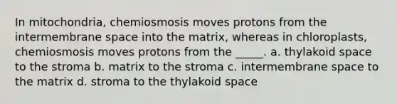 In mitochondria, chemiosmosis moves protons from the intermembrane space into the matrix, whereas in chloroplasts, chemiosmosis moves protons from the _____. a. thylakoid space to the stroma b. matrix to the stroma c. intermembrane space to the matrix d. stroma to the thylakoid space