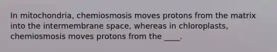 In mitochondria, chemiosmosis moves protons from the matrix into the intermembrane space, whereas in chloroplasts, chemiosmosis moves protons from the ____.