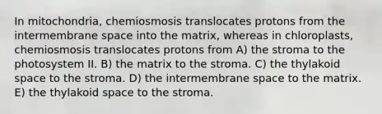 In mitochondria, chemiosmosis translocates protons from the intermembrane space into the matrix, whereas in chloroplasts, chemiosmosis translocates protons from A) the stroma to the photosystem II. B) the matrix to the stroma. C) the thylakoid space to the stroma. D) the intermembrane space to the matrix. E) the thylakoid space to the stroma.