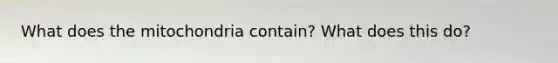 What does the mitochondria contain? What does this do?