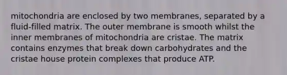 mitochondria are enclosed by two membranes, separated by a fluid-filled matrix. The outer membrane is smooth whilst the inner membranes of mitochondria are cristae. The matrix contains enzymes that break down carbohydrates and the cristae house protein complexes that produce ATP.