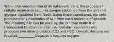 Within the mitochondria of all eukaryotic cells, the process of cellular respiration requires oxygen (obtained from the air) and glucose (obtained from food). Using these ingredients, our cells produce many molecules of ATP from each molecule of glucose. The resulting ATP can be used by the cell that made it or transported to other cells for use. Cellular respiration also produces two other products, CO2 and H2O. Overall, this process is called __________ because it requires oxygen.