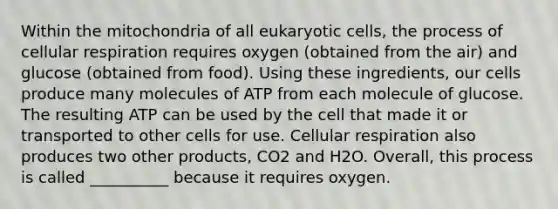 Within the mitochondria of all eukaryotic cells, the process of cellular respiration requires oxygen (obtained from the air) and glucose (obtained from food). Using these ingredients, our cells produce many molecules of ATP from each molecule of glucose. The resulting ATP can be used by the cell that made it or transported to other cells for use. Cellular respiration also produces two other products, CO2 and H2O. Overall, this process is called __________ because it requires oxygen.