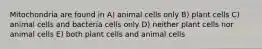 Mitochondria are found in A) animal cells only B) plant cells C) animal cells and bacteria cells only D) neither plant cells nor animal cells E) both plant cells and animal cells