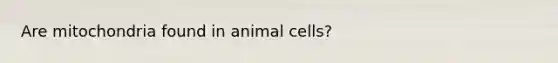 Are mitochondria found in animal cells?