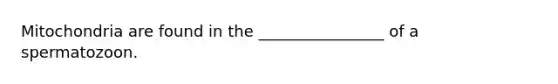 Mitochondria are found in the ________________ of a spermatozoon.