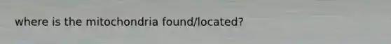 where is the mitochondria found/located?