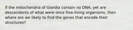 If the mitochondria of Giardia contain no DNA, yet are descendants of what were once free-living organisms, then where are we likely to find the genes that encode their structures?