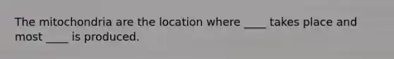 The mitochondria are the location where ____ takes place and most ____ is produced.