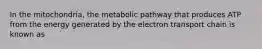 In the mitochondria, the metabolic pathway that produces ATP from the energy generated by the electron transport chain is known as