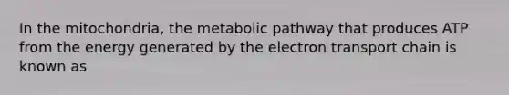 In the mitochondria, the metabolic pathway that produces ATP from the energy generated by the electron transport chain is known as