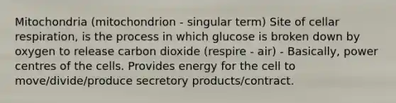 Mitochondria (mitochondrion - singular term) Site of cellar respiration, is the process in which glucose is broken down by oxygen to release carbon dioxide (respire - air) - Basically, power centres of the cells. Provides energy for the cell to move/divide/produce secretory products/contract.