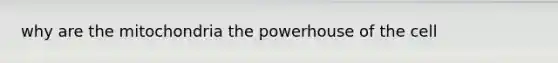 why are the mitochondria the powerhouse of the cell