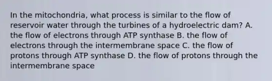 In the mitochondria, what process is similar to the flow of reservoir water through the turbines of a hydroelectric dam? A. the flow of electrons through ATP synthase B. the flow of electrons through the intermembrane space C. the flow of protons through ATP synthase D. the flow of protons through the intermembrane space