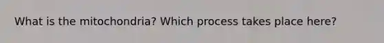 What is the mitochondria? Which process takes place here?