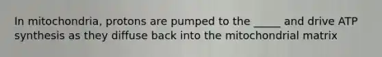 In mitochondria, protons are pumped to the _____ and drive <a href='https://www.questionai.com/knowledge/kx3XpCJrFz-atp-synthesis' class='anchor-knowledge'>atp synthesis</a> as they diffuse back into the mitochondrial matrix