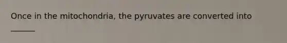 Once in the mitochondria, the pyruvates are converted into ______