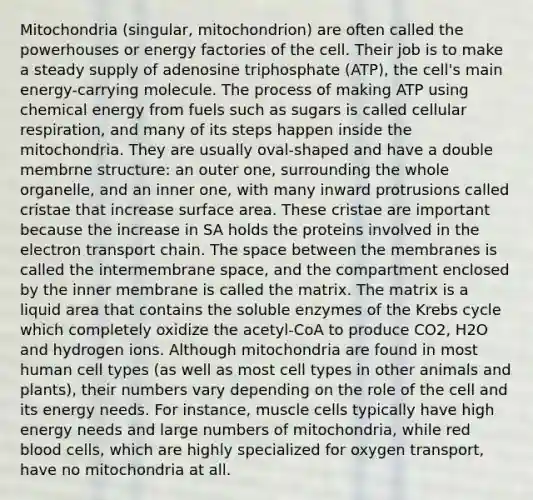 Mitochondria (singular, mitochondrion) are often called the powerhouses or energy factories of the cell. Their job is to make a steady supply of adenosine triphosphate (ATP), the cell's main energy-carrying molecule. The process of making ATP using chemical energy from fuels such as sugars is called cellular respiration, and many of its steps happen inside the mitochondria. They are usually oval-shaped and have a double membrne structure: an outer one, surrounding the whole organelle, and an inner one, with many inward protrusions called cristae that increase surface area. These cristae are important because the increase in SA holds the proteins involved in the electron transport chain. The space between the membranes is called the intermembrane space, and the compartment enclosed by the inner membrane is called the matrix. The matrix is a liquid area that contains the soluble enzymes of the Krebs cycle which completely oxidize the acetyl-CoA to produce CO2, H2O and hydrogen ions. Although mitochondria are found in most human cell types (as well as most cell types in other animals and plants), their numbers vary depending on the role of the cell and its energy needs. For instance, muscle cells typically have high energy needs and large numbers of mitochondria, while red blood cells, which are highly specialized for oxygen transport, have no mitochondria at all.